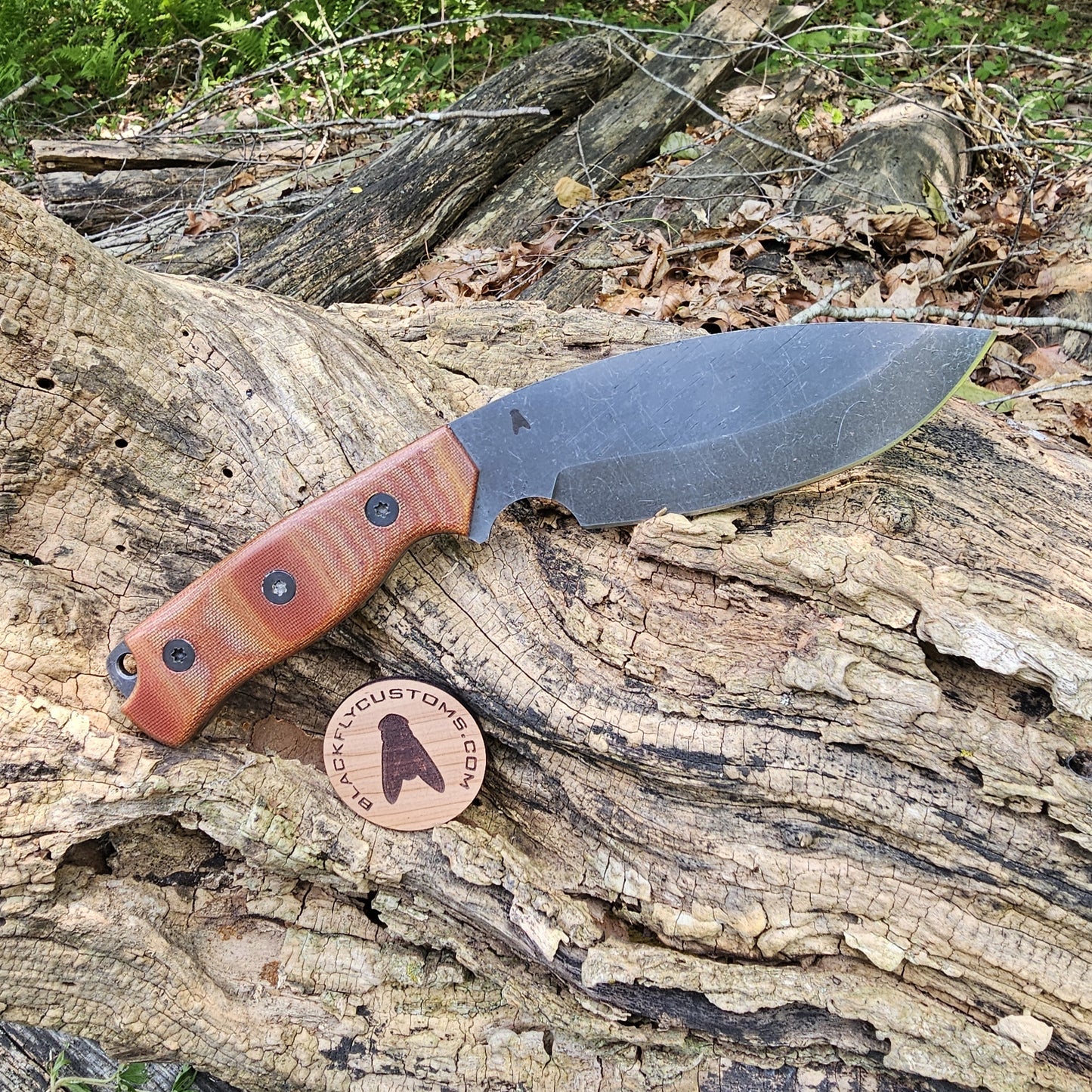 Fossa with Natural Micarta