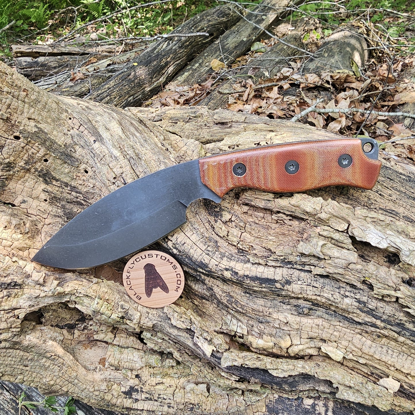Fossa with Natural Micarta