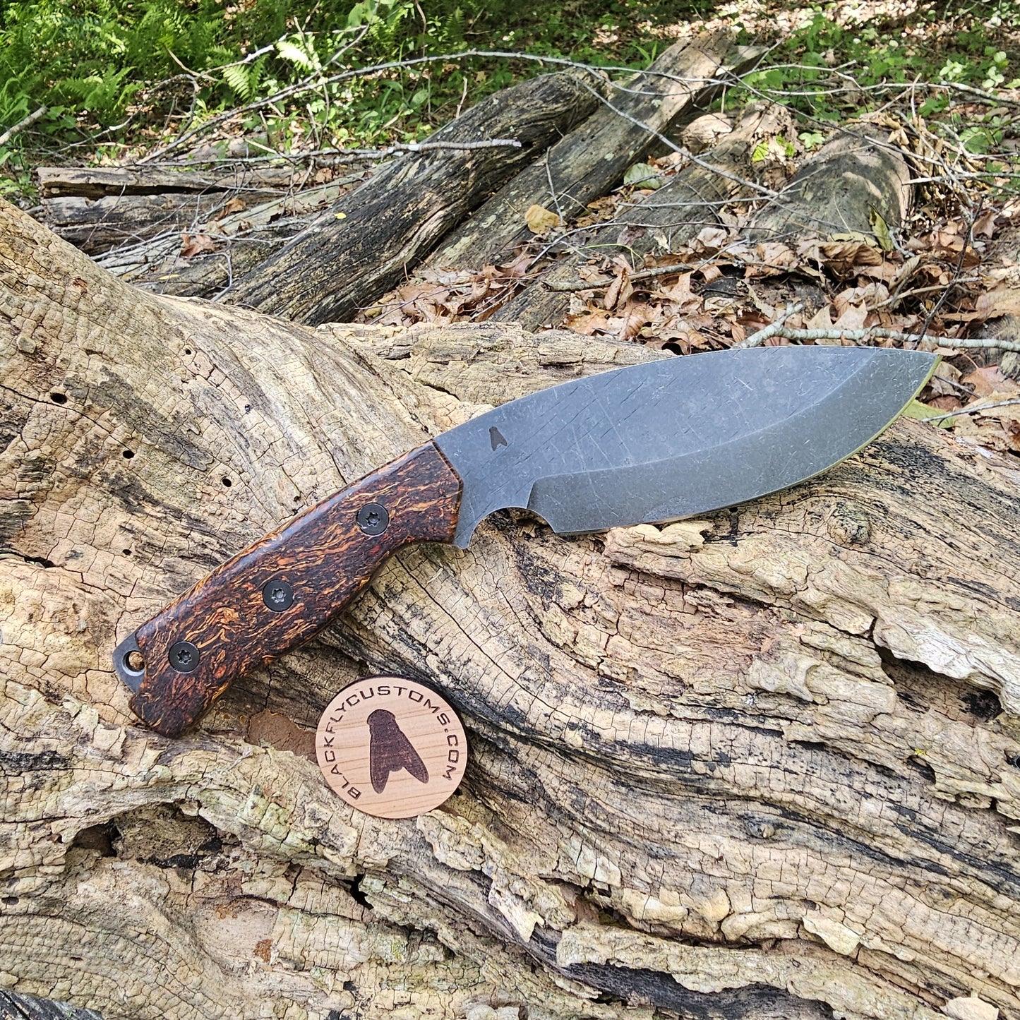 Fossa with Orange Hemp