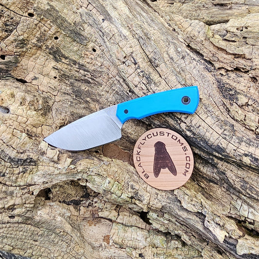 Scarab with Cobalt Blue G10