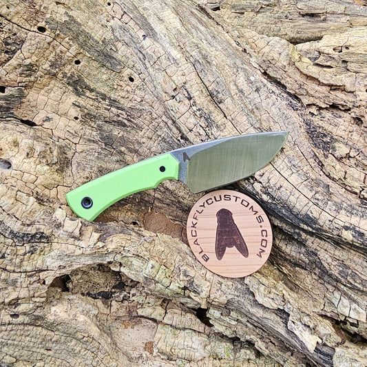 Scarab with Acid Green G10