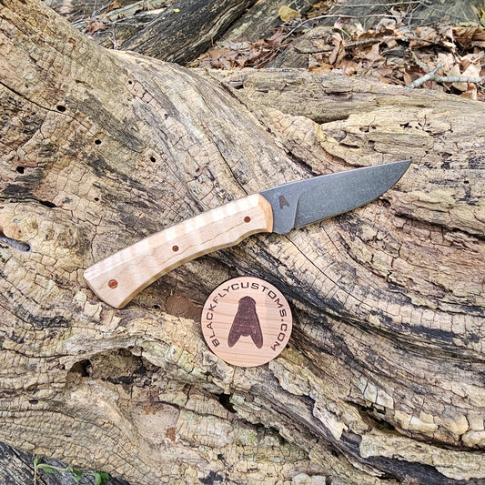 Jackal with Curly Maple