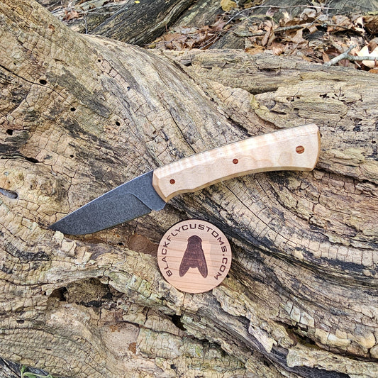 Jackal with Curly Maple