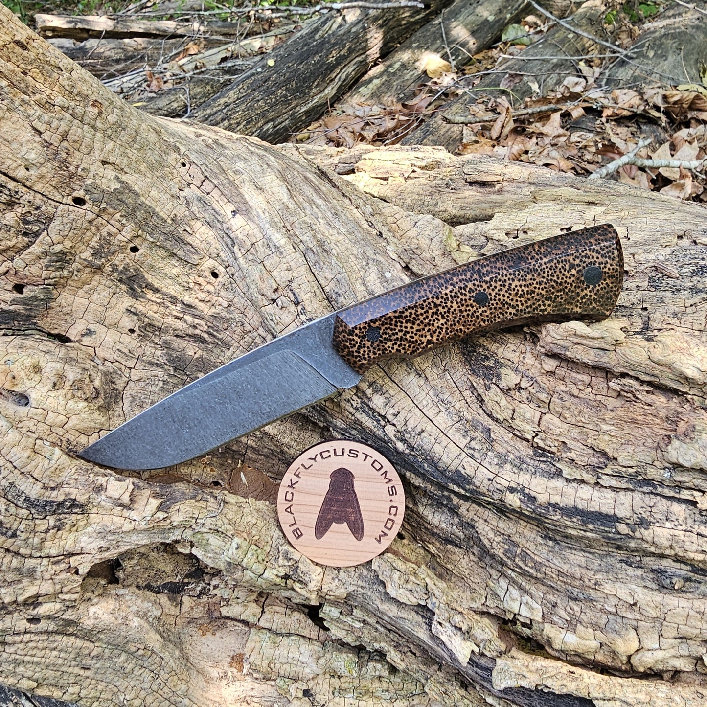 Mamba with Black Palm