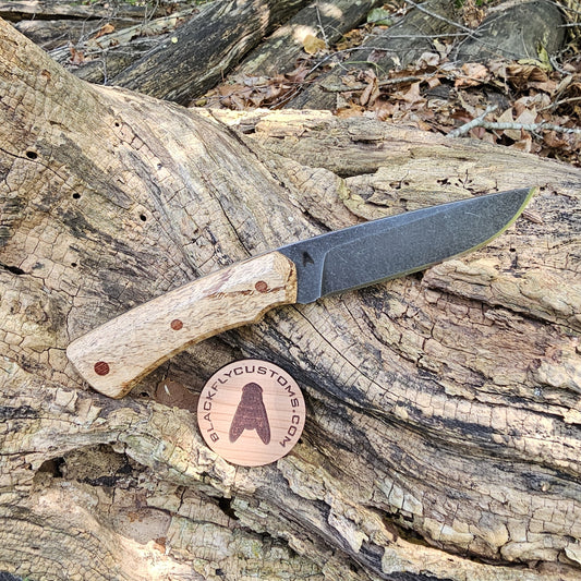 Mamba with Curly Mango