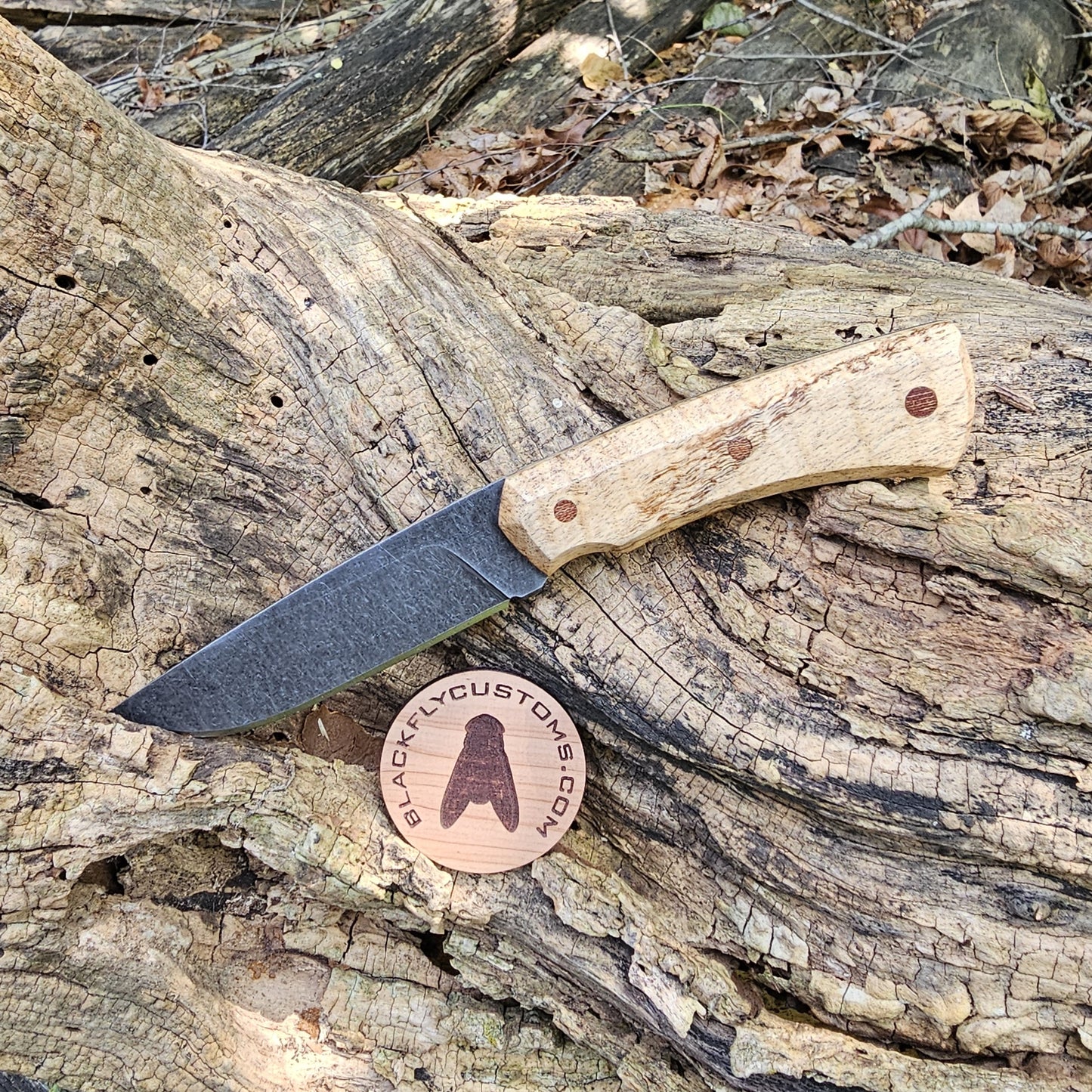 Mamba with Curly Mango