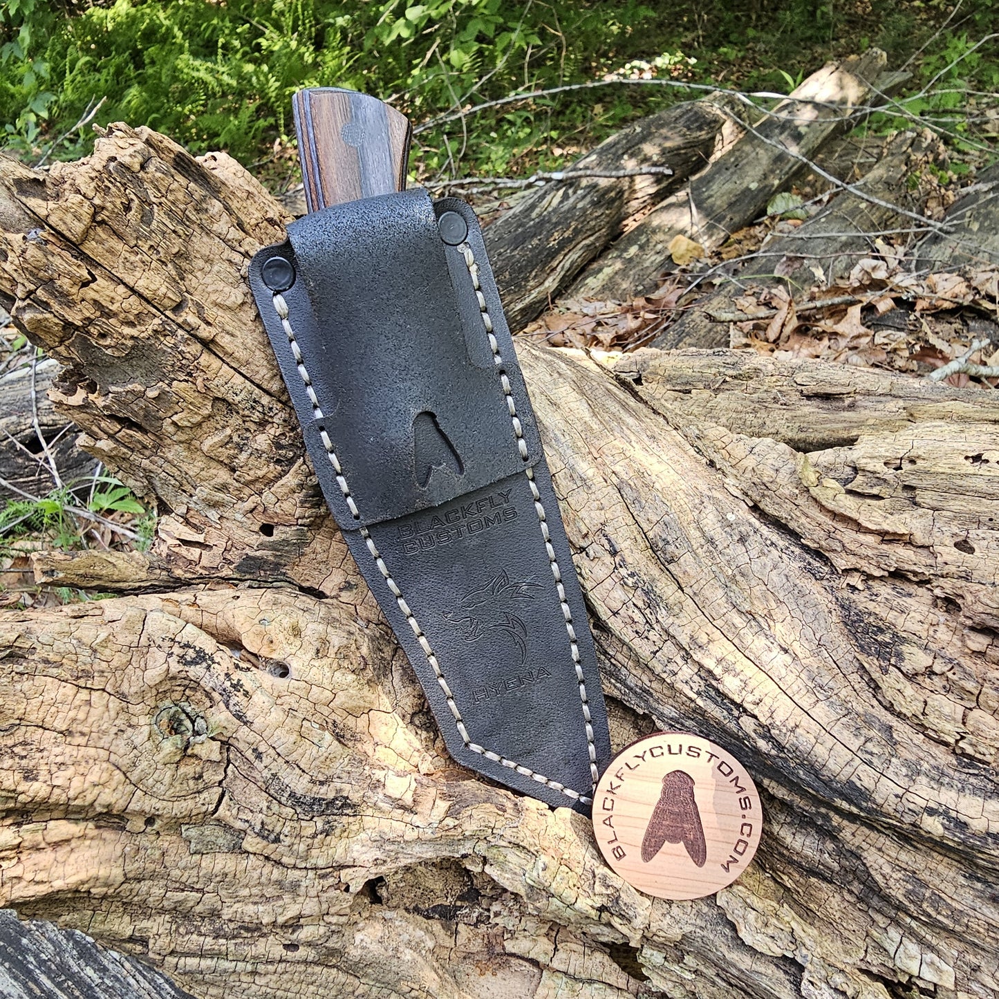 Hyena with Coffee SpectraPly