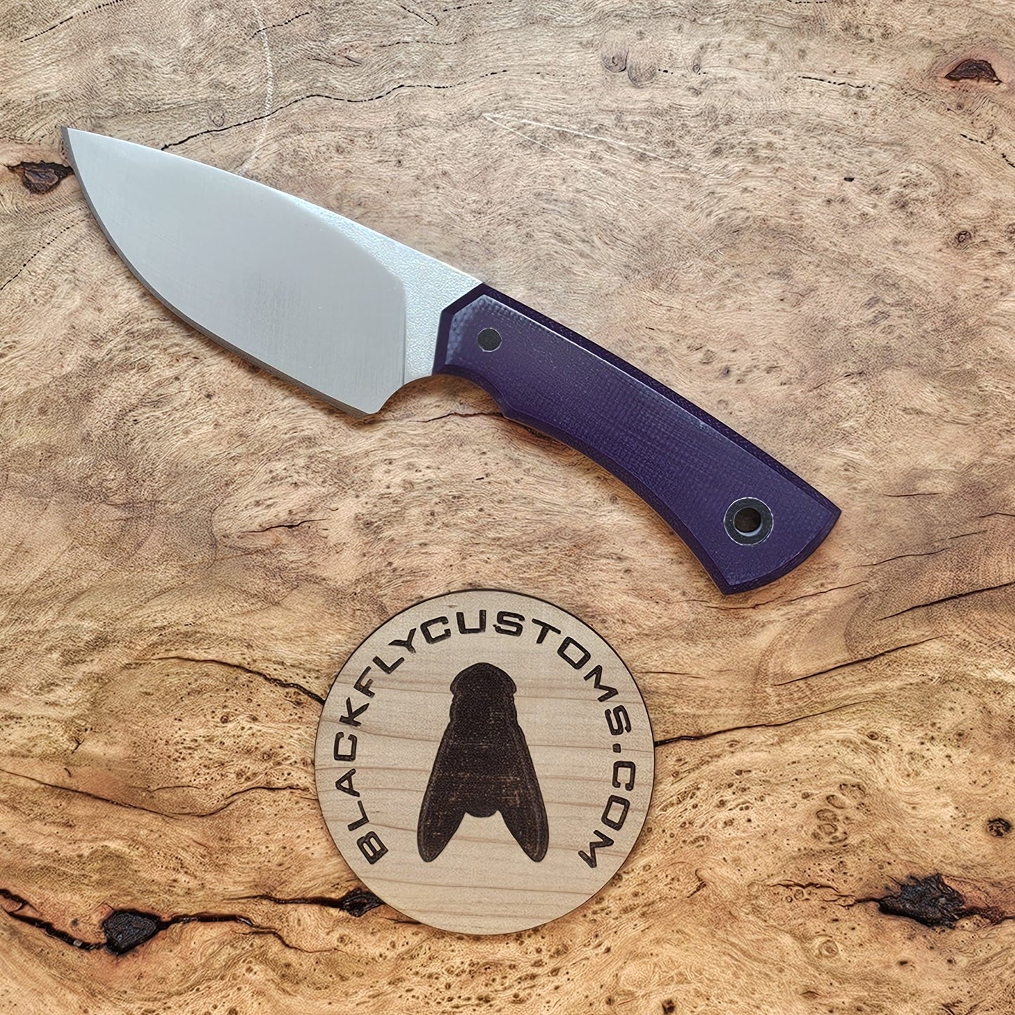 Scarab with Purple G10