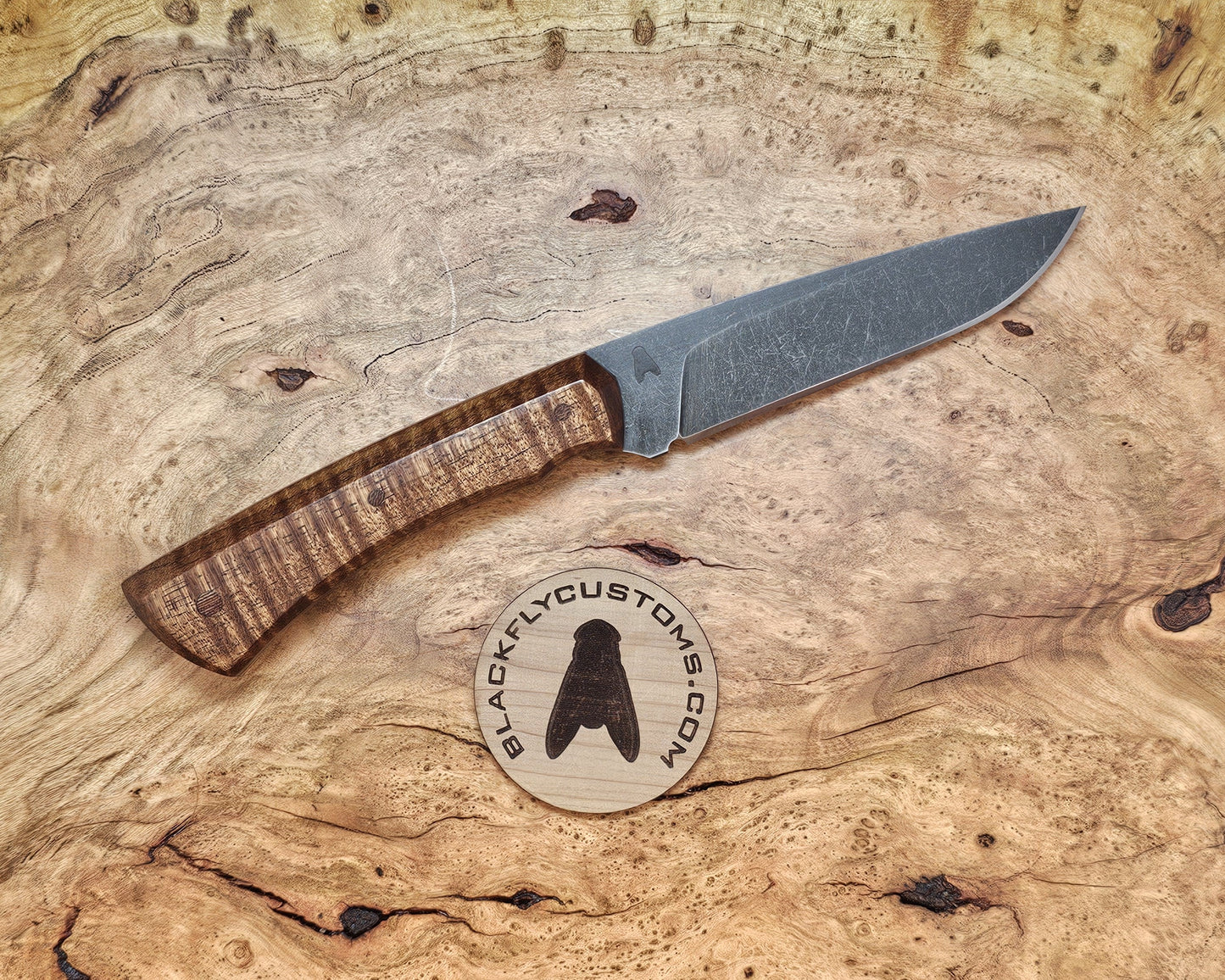 Mongoose with Tasmanian Blackwood