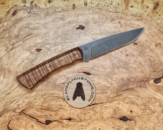 Mongoose with Tasmanian Blackwood