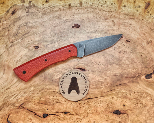 Jackal with Red Fire