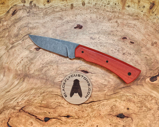 Jackal with Red Fire