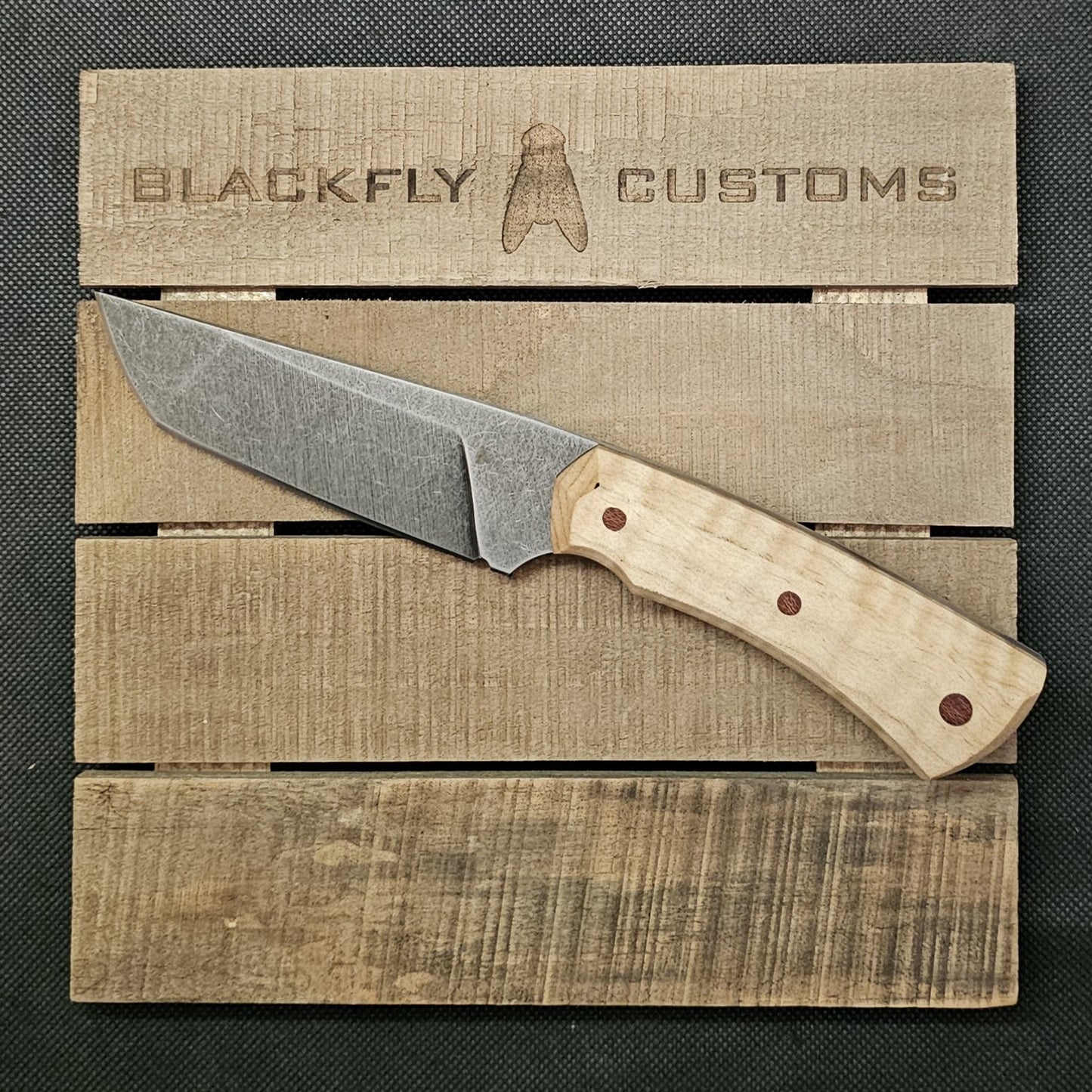 Gator with Curly Maple