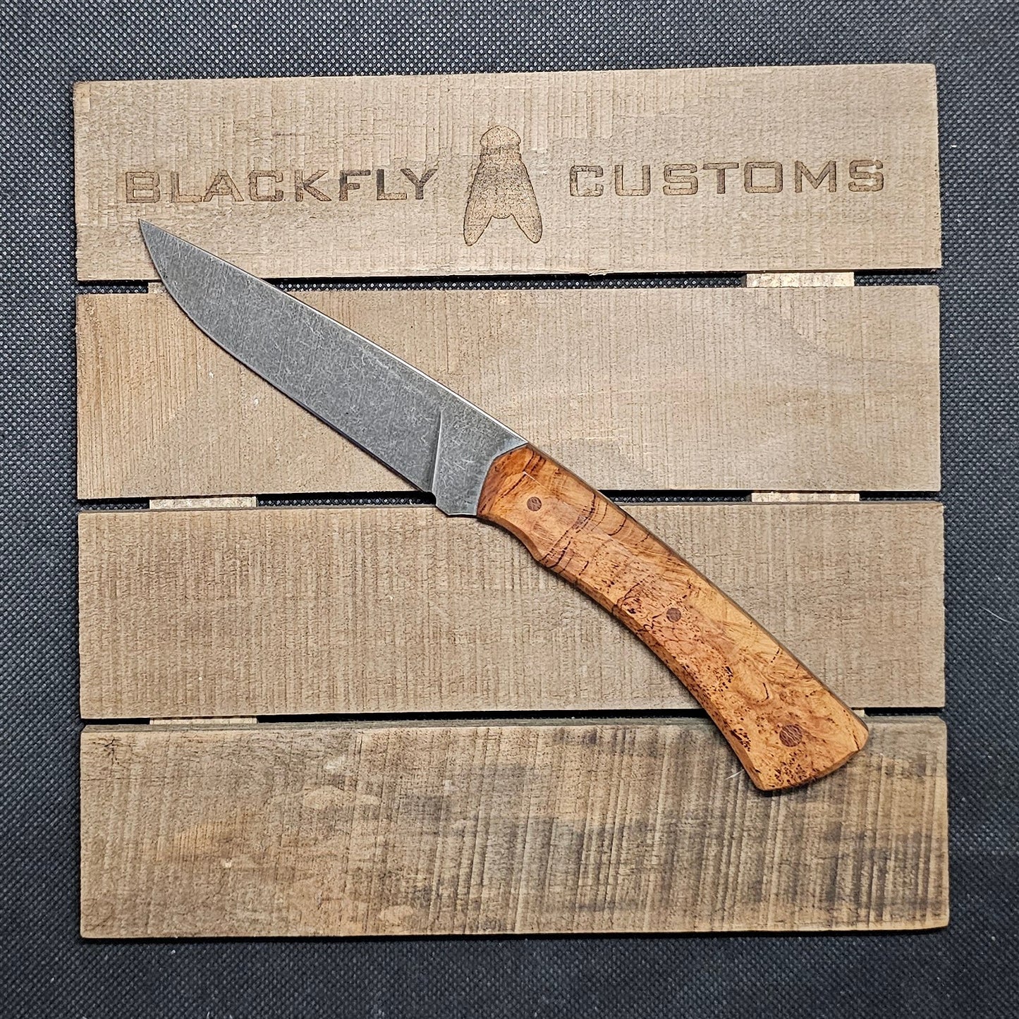 Mongoose with Cherry Burl