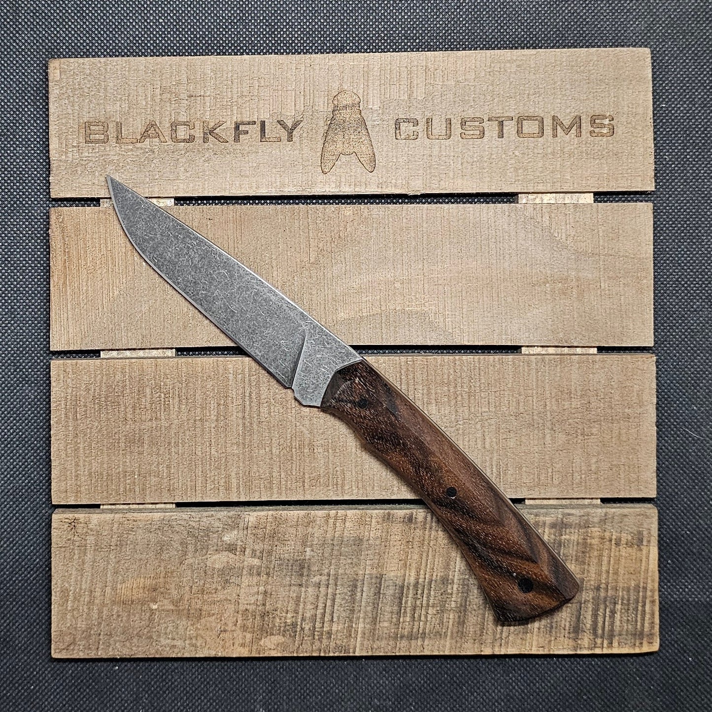 Mongoose with Claro Walnut