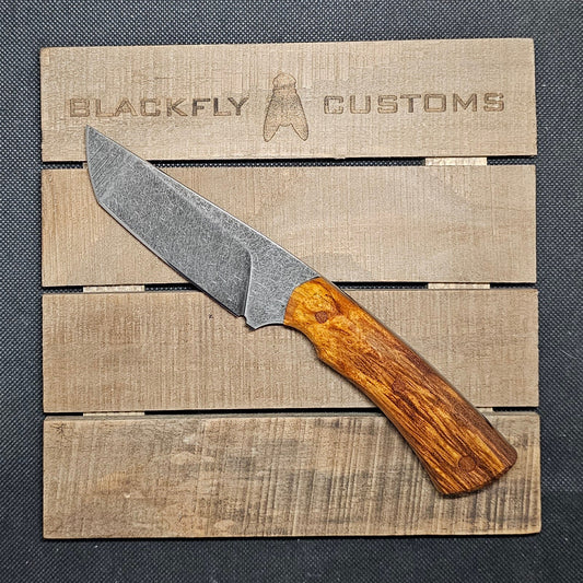 Gator with Amboyna Burl