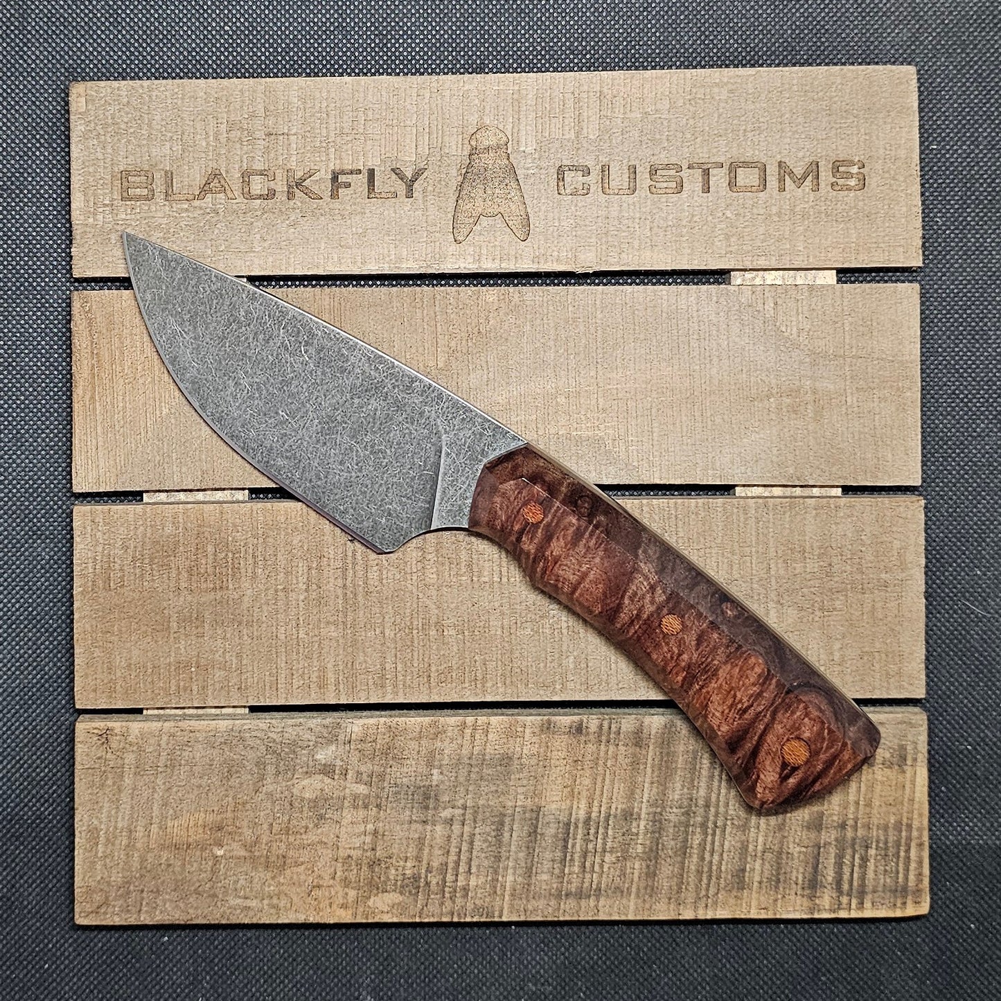 Rhino with Redwood Burl