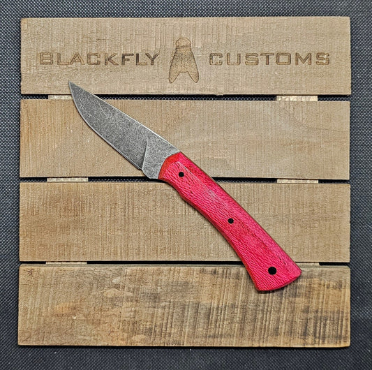 Jackal with Sycamore