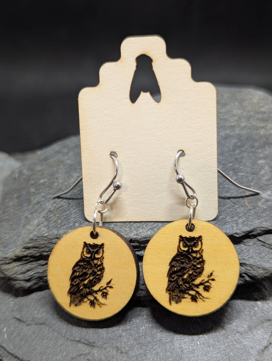 Eastern Screech Owl 1