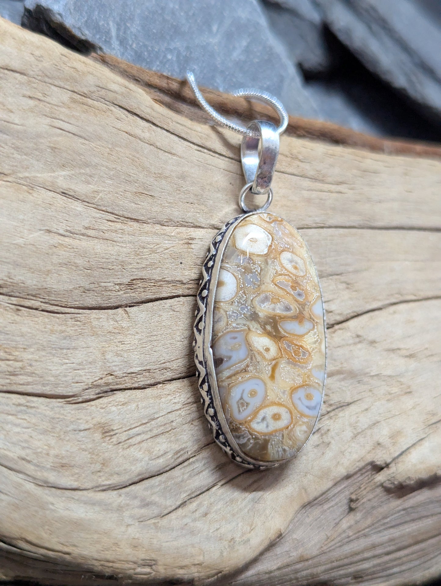 Rock Fossil