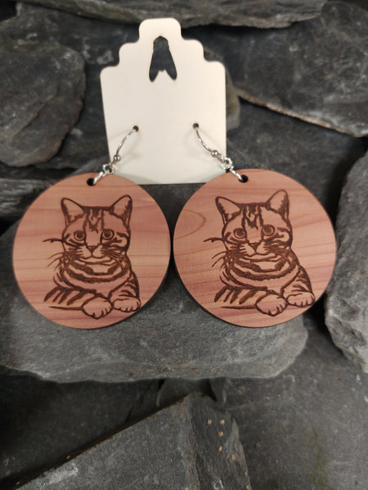 Tiger Cat 40mm