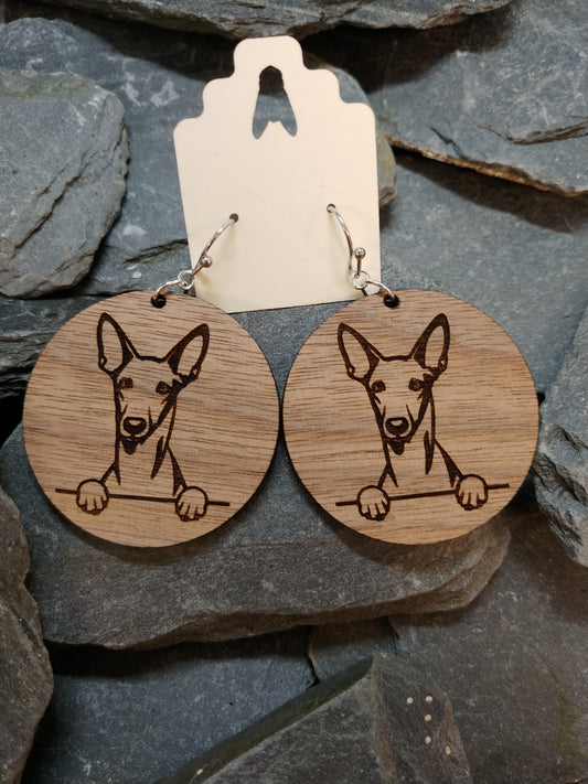 Pharaoh Hound 40mm