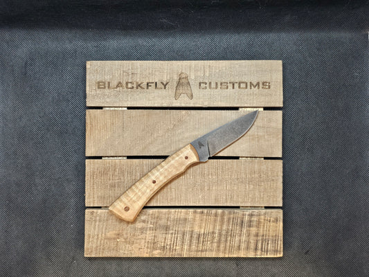 Jackal with Curly Maple(Available for Order)