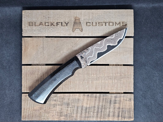 Jackal with Copper and Nickel Damascus