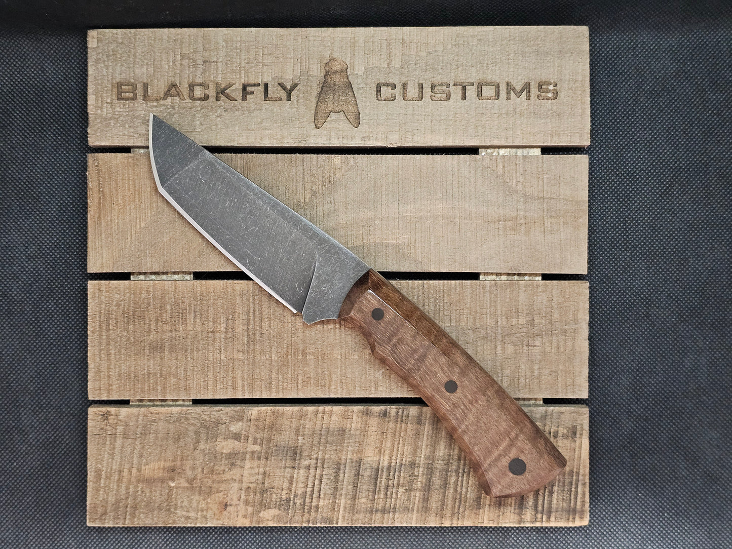 Gator with Black Walnut