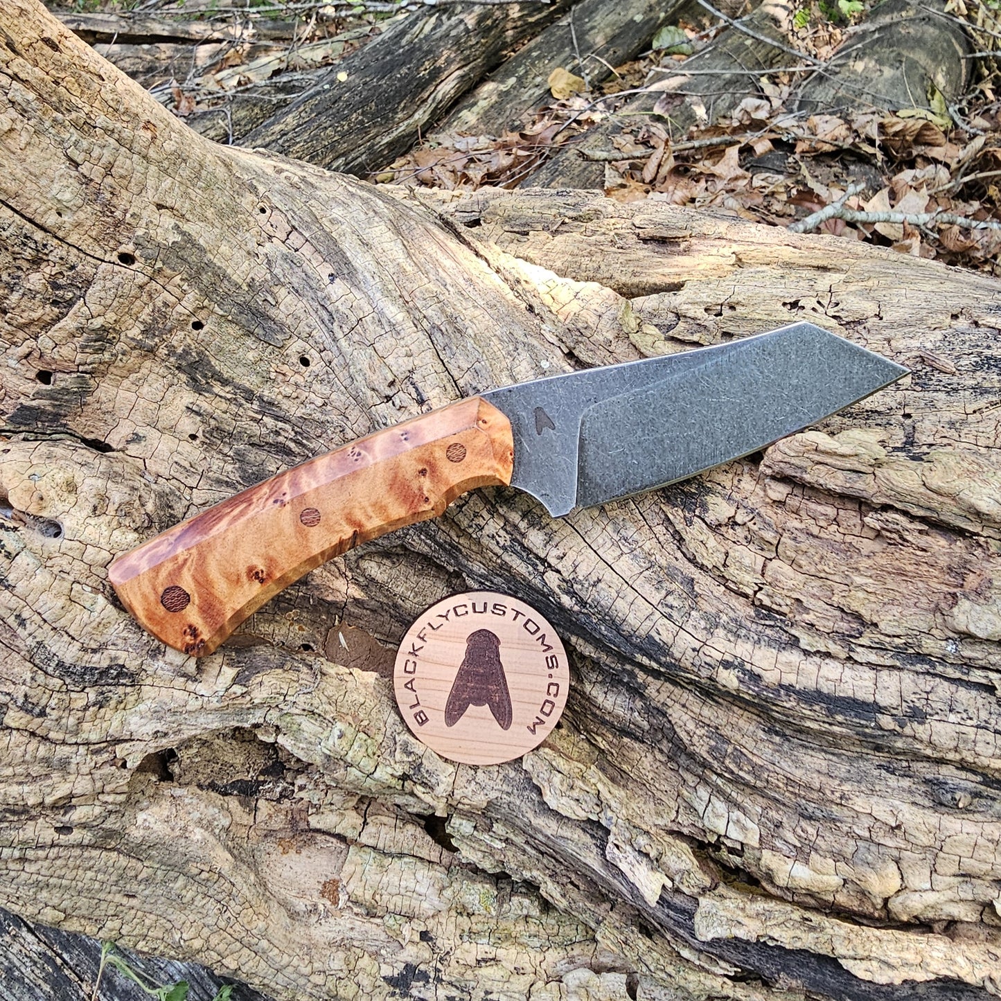 Hyena with Juniper