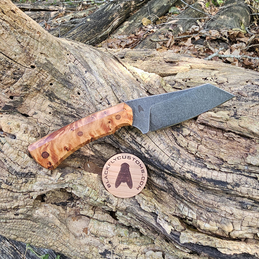 Hyena with Juniper