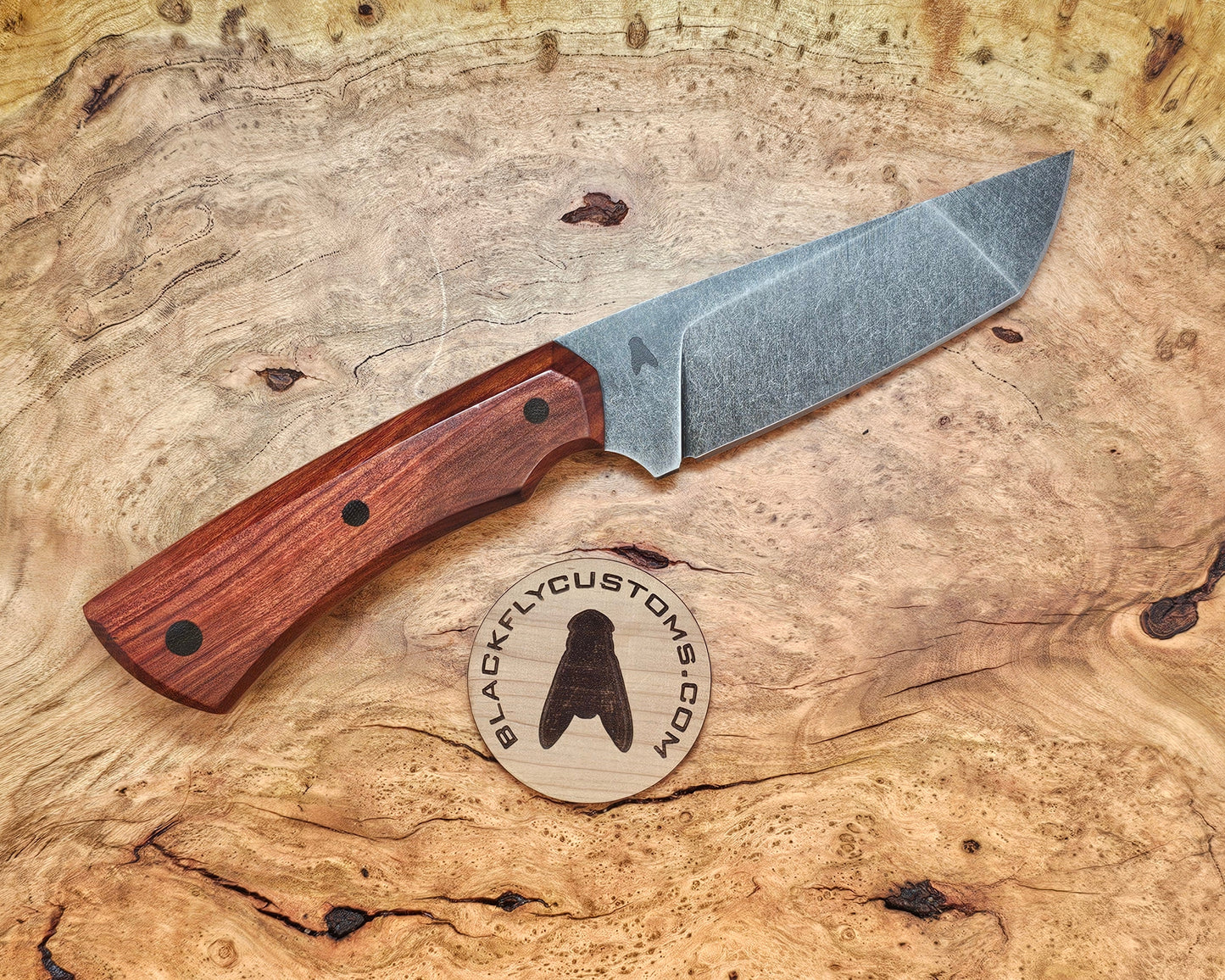 Gator with Bloodwood