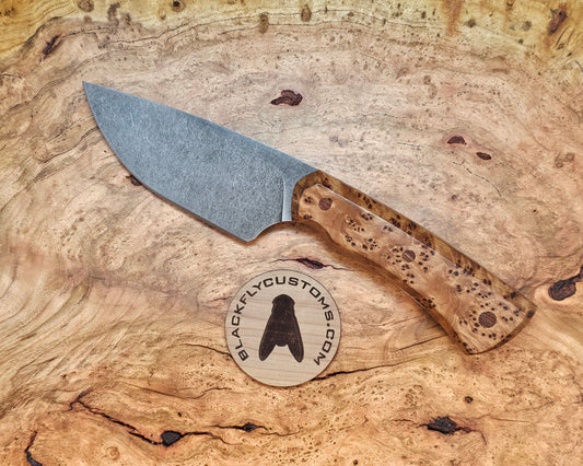 Rhino with Redwood Burl