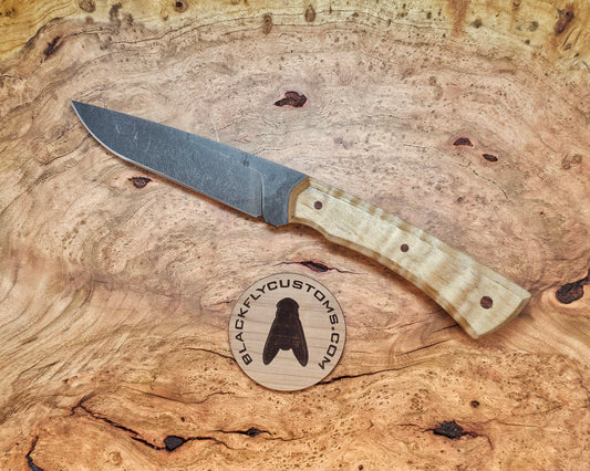 Mongoose with Curly Maple