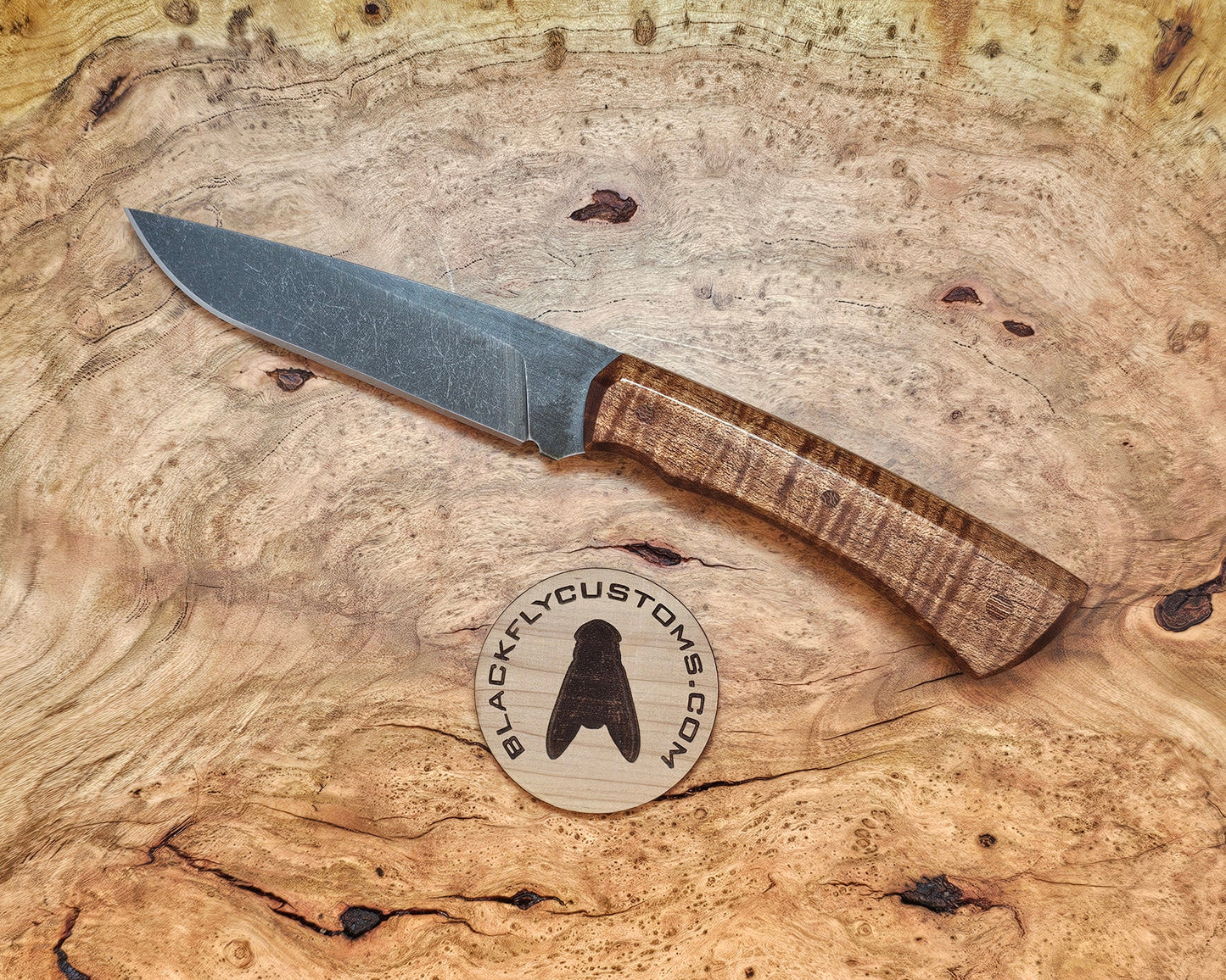 Mongoose with Tasmanian Blackwood