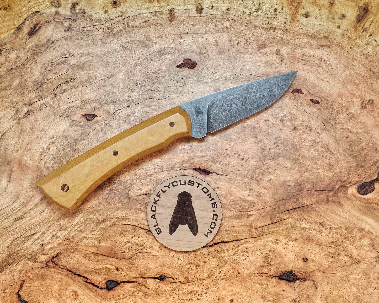 Jackal with Richlite