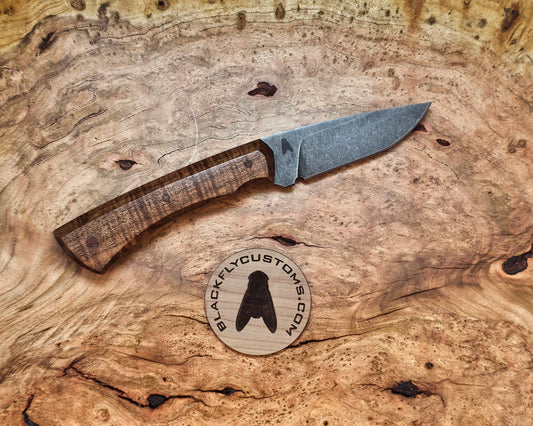 Jackal with Tasmanian Blackwood