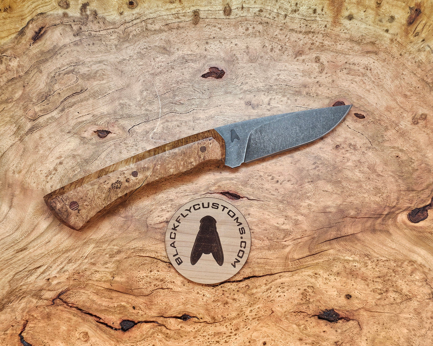 Jackal with Cherry Burl