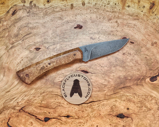 Jackal with Cherry Burl