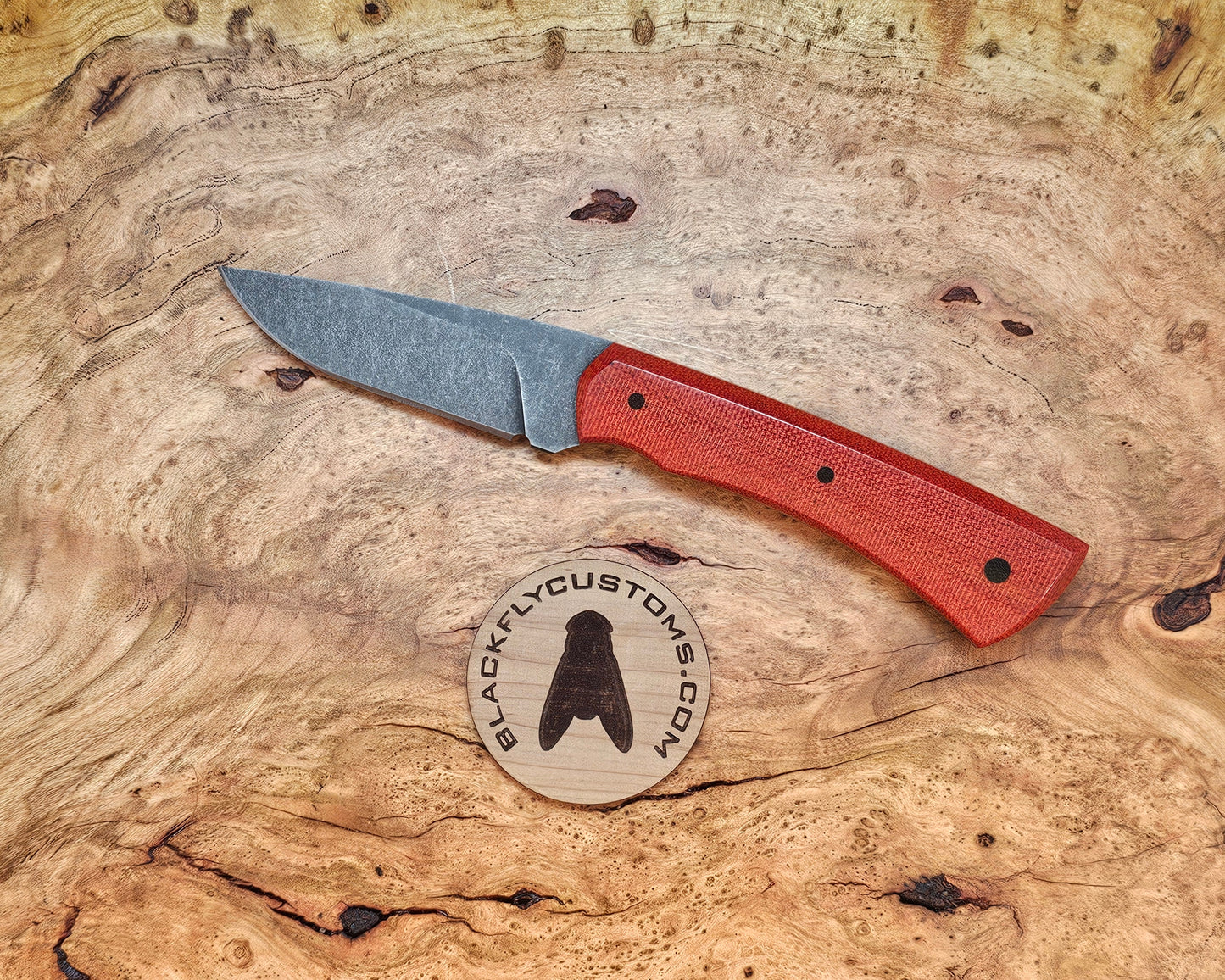 Jackal with Red Fire