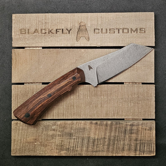 Hyena with Desert Ironwood