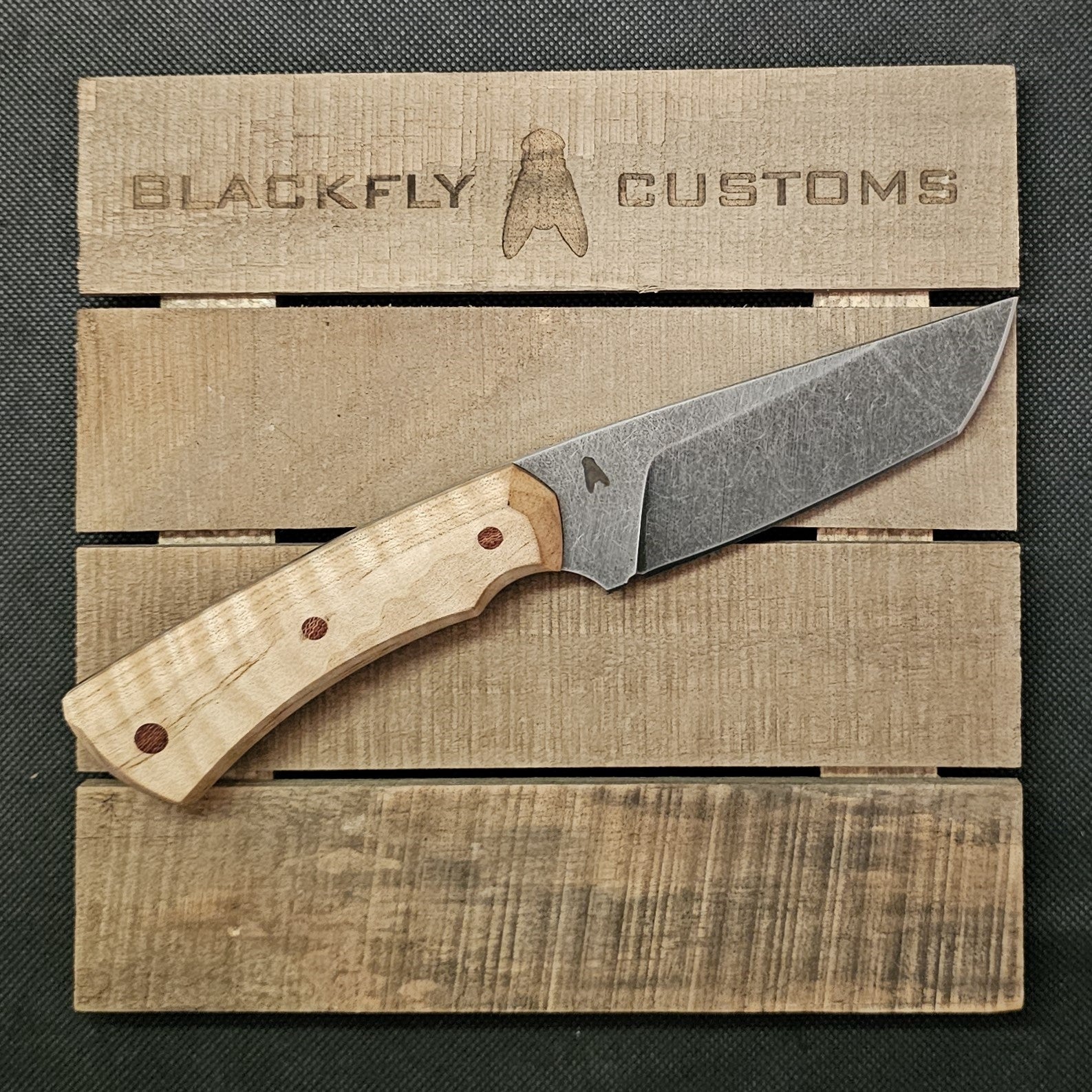 Gator with Curly Maple – BlackFly Customs