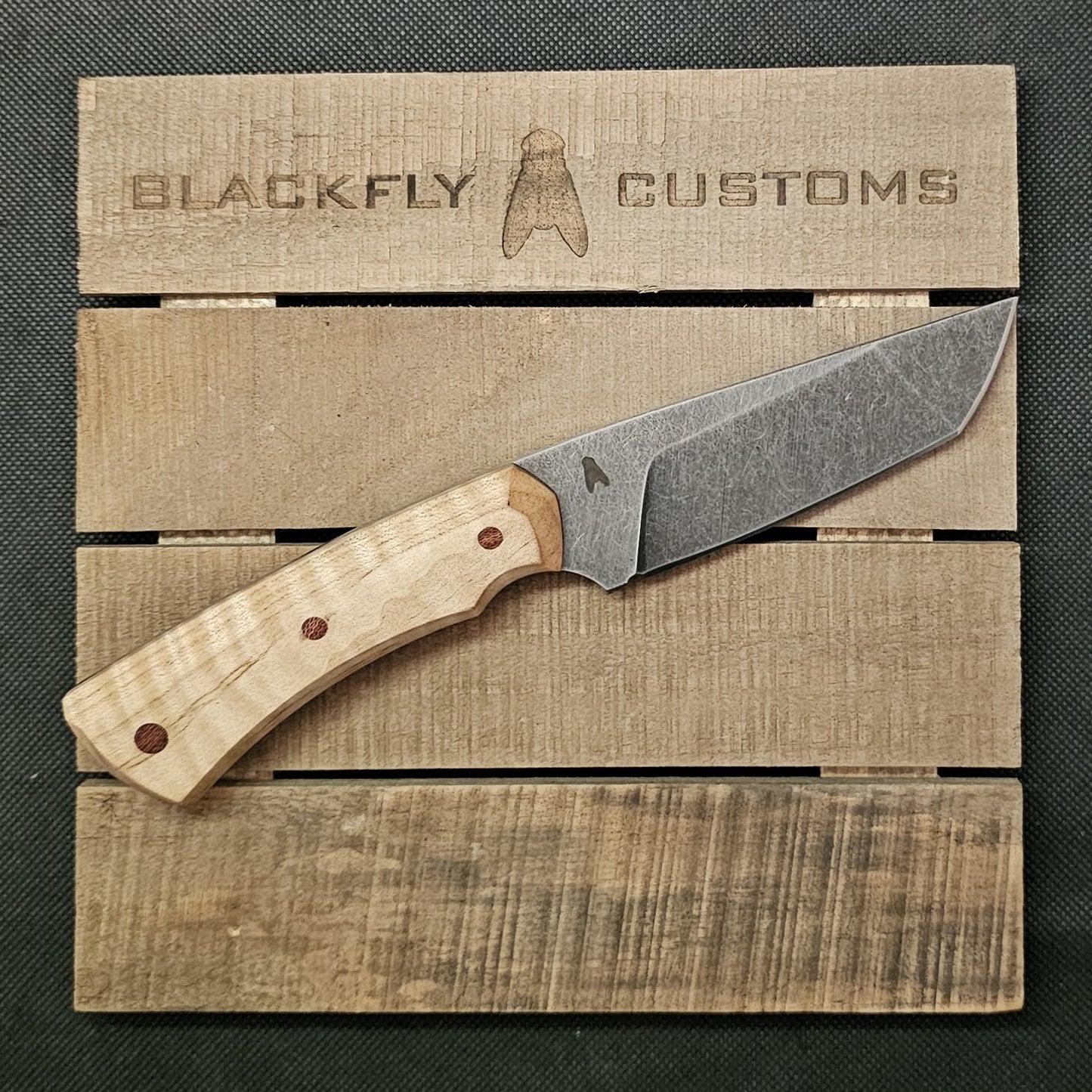 Gator with Curly Maple