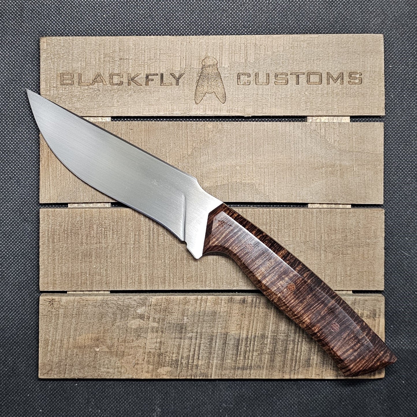 Fennic with Tasmanian Blackwood