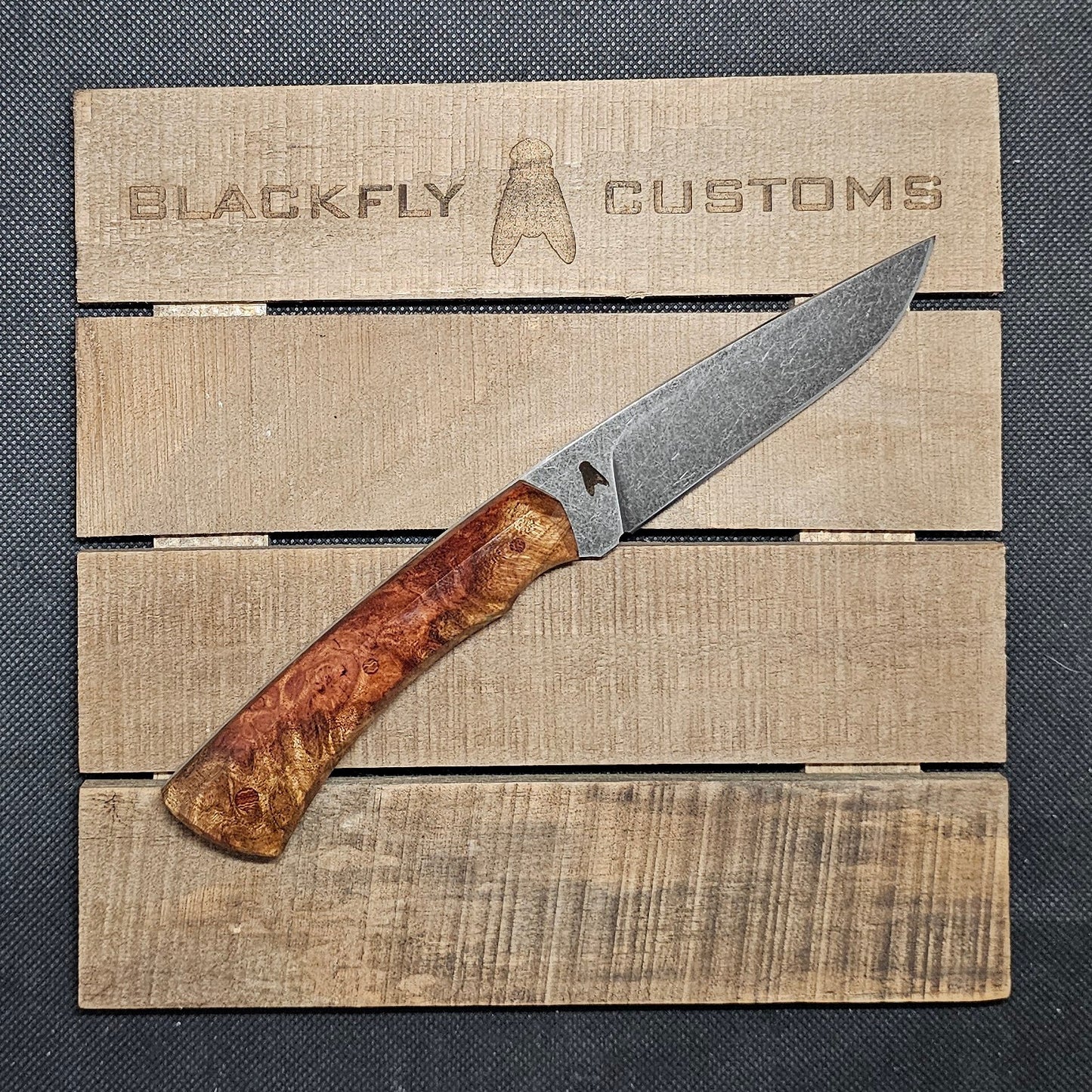 Mongoose with Amboyna Burl