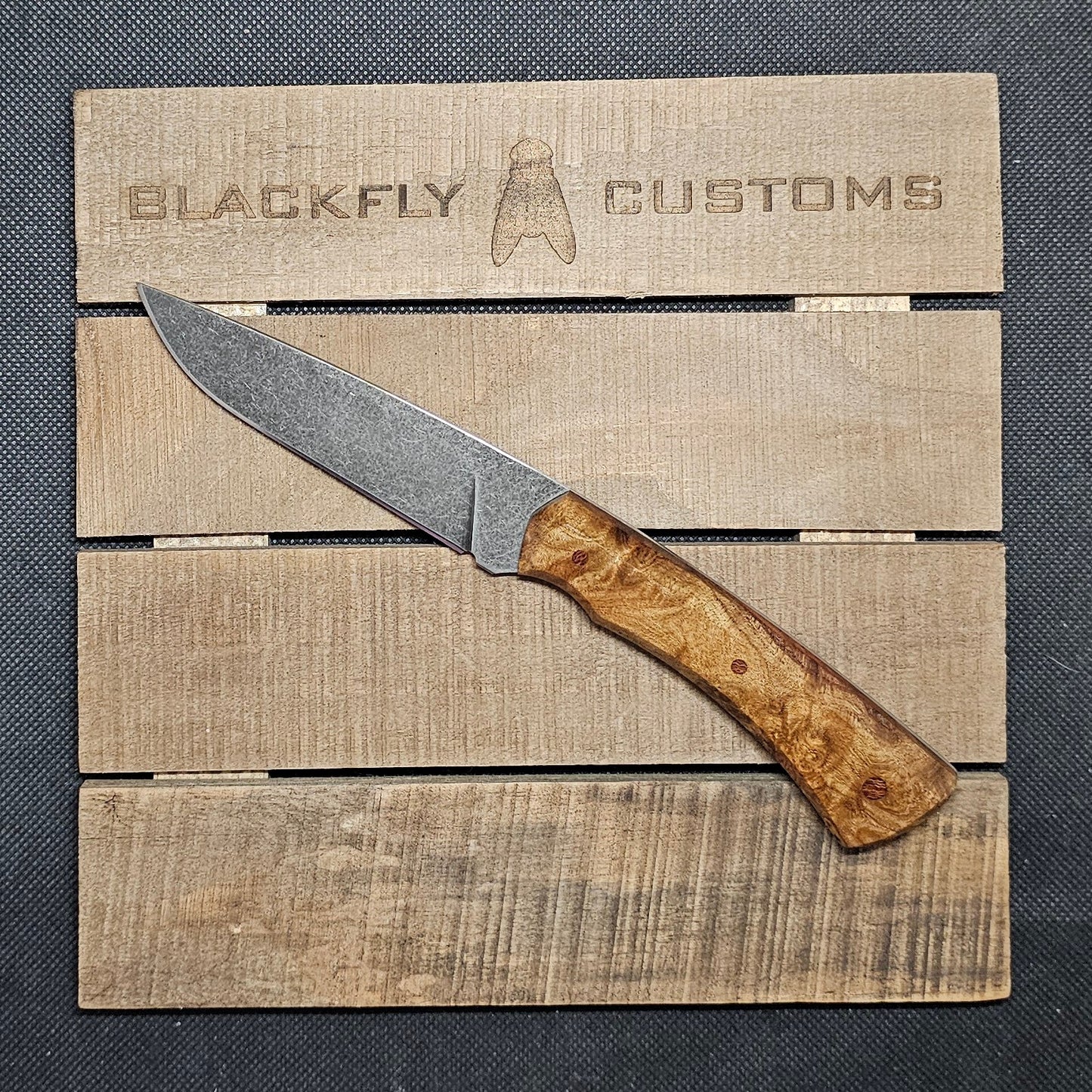 Mongoose with Amboyna Burl