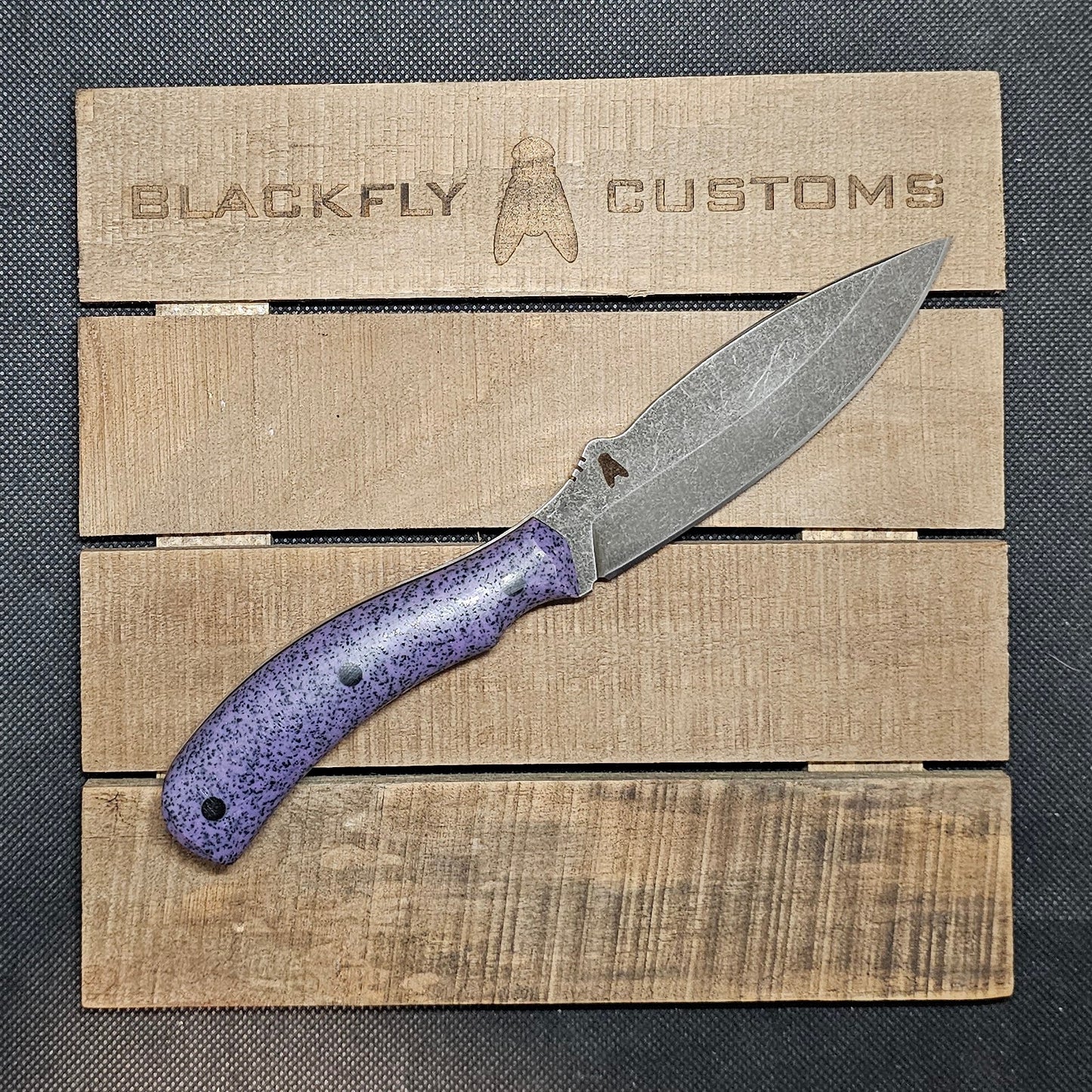 Skink with Purple GripX