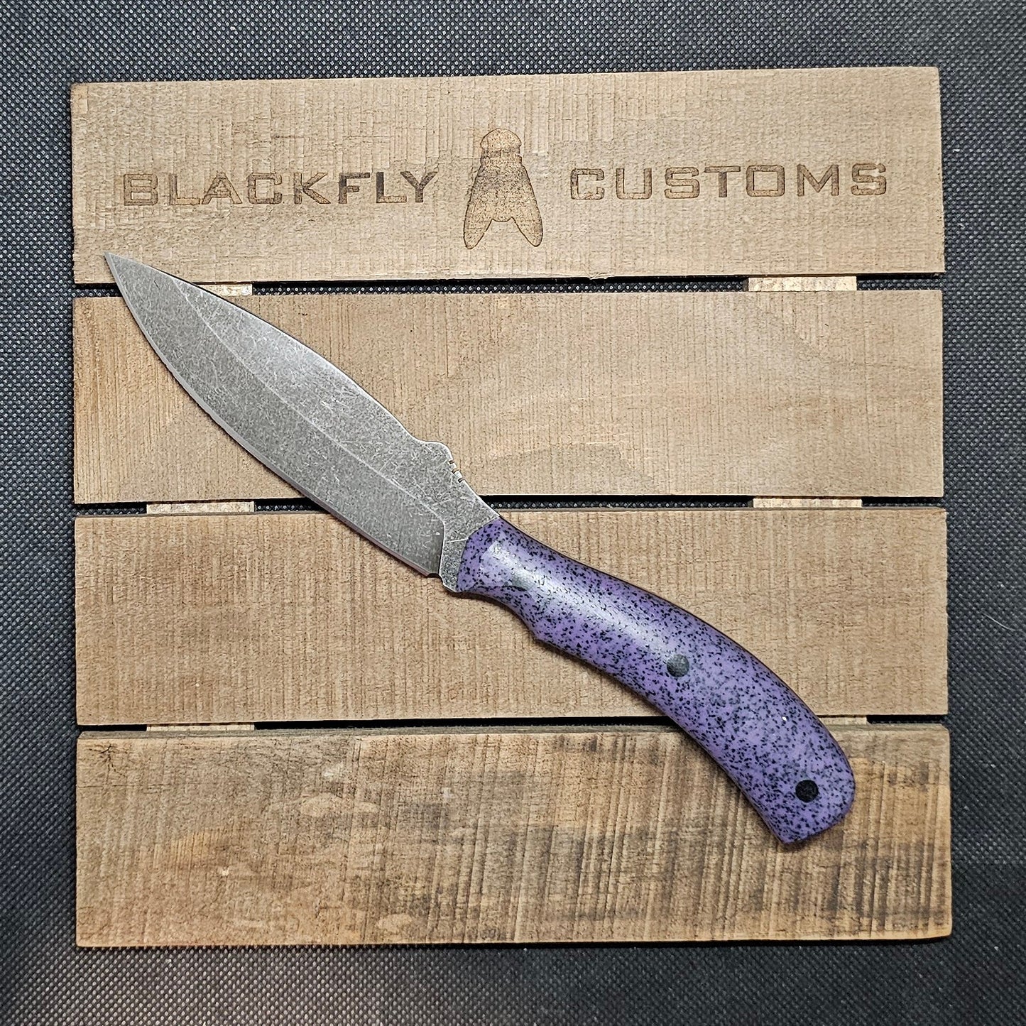 Skink with Purple GripX
