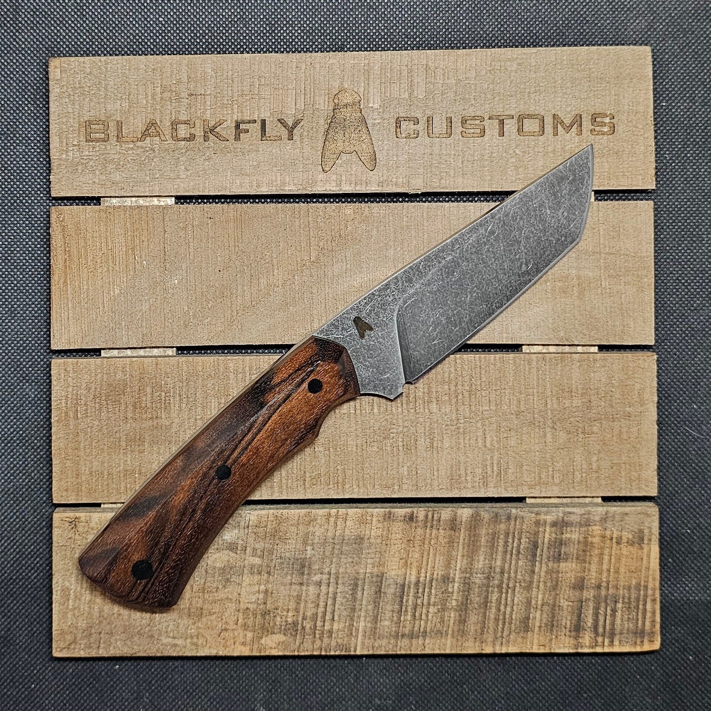 Gator with  Claro Walnut