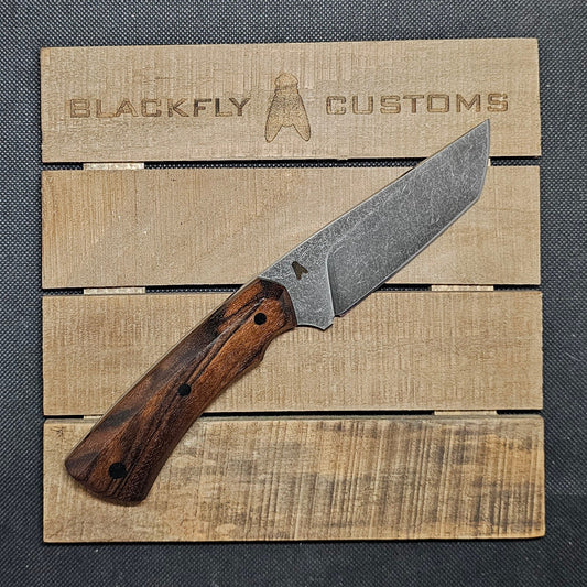 Gator with  Claro Walnut